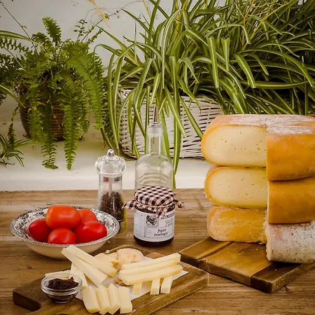 Cristine Bedfor Boutique