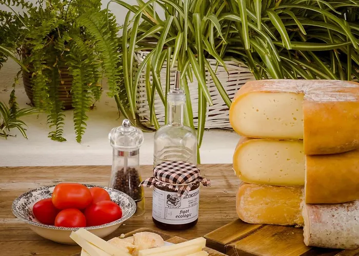 Cristine Bedfor Boutique